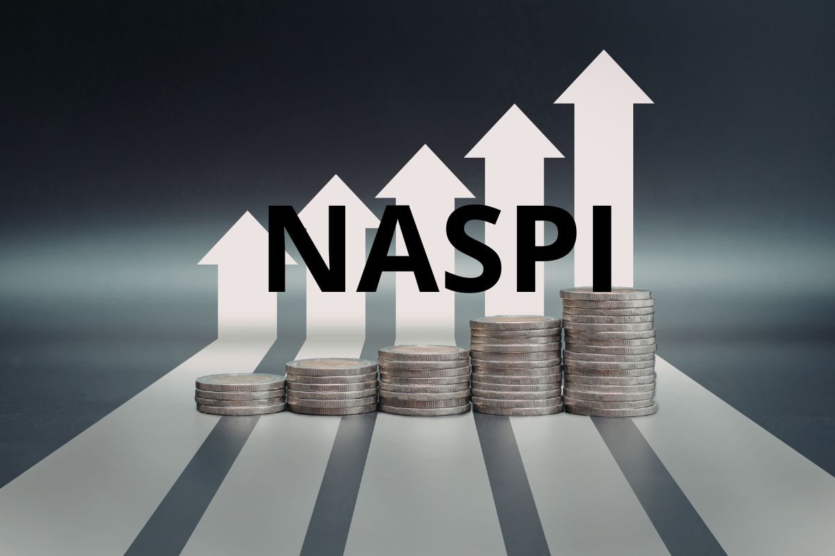 pila di monete che aumentano e scritta naspi